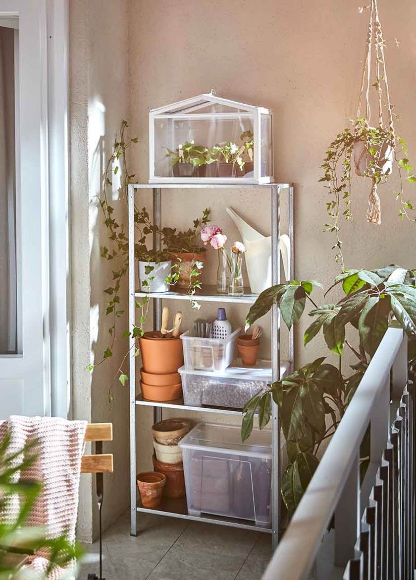 Tall shelving unit stacked with plants