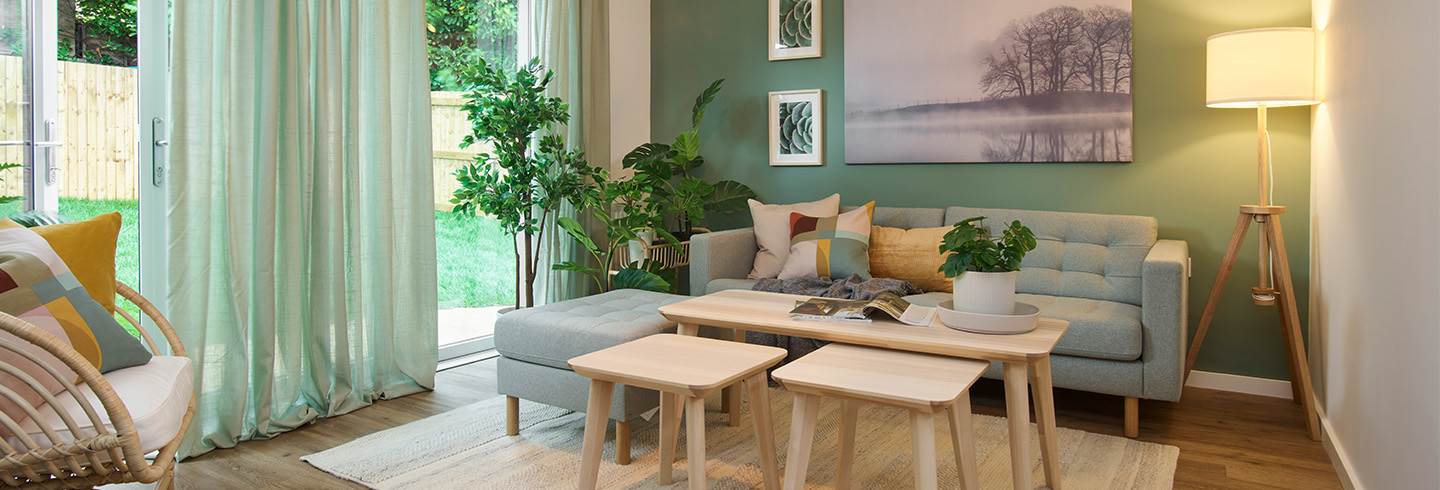 Living room painted green with sofa. Living room painted green with sofa.