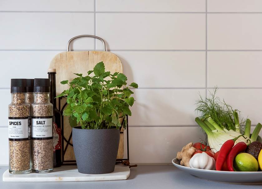 Kitchen work top with salt & pepper grinders, herbs and fruit/vegetables