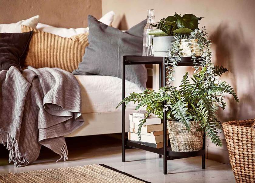 Soft furnishings and plants