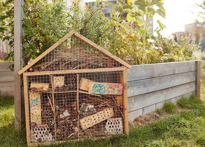 Bug hotel