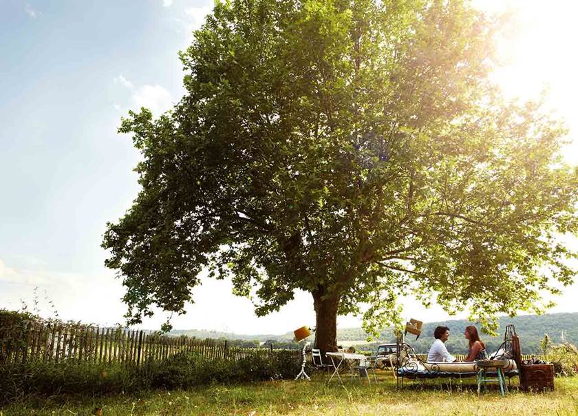 Man and woman are sitting in bed under a large tree in a meadow